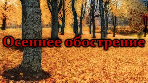 Осенние обострения.           