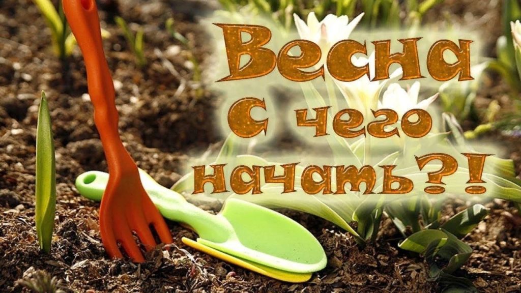 Вечная тема, с чего начать работы на даче.