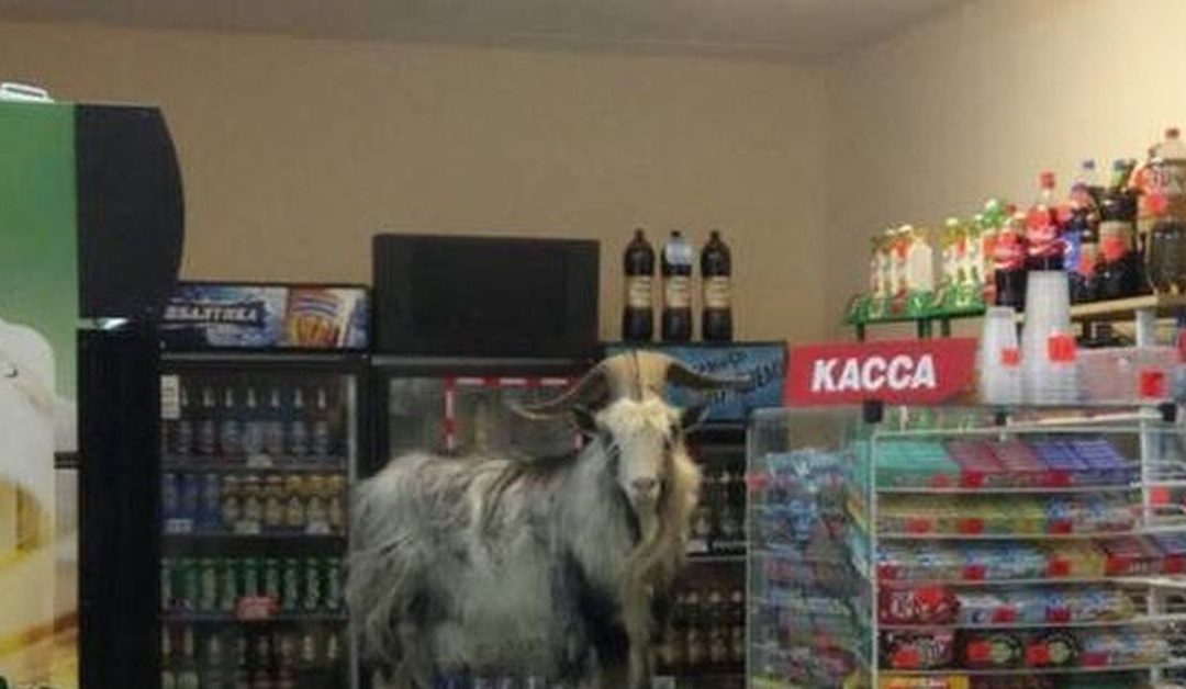 ДЕРЕВНЯ НИКУДА НЕ ТОРОПИТЬСЯ.   