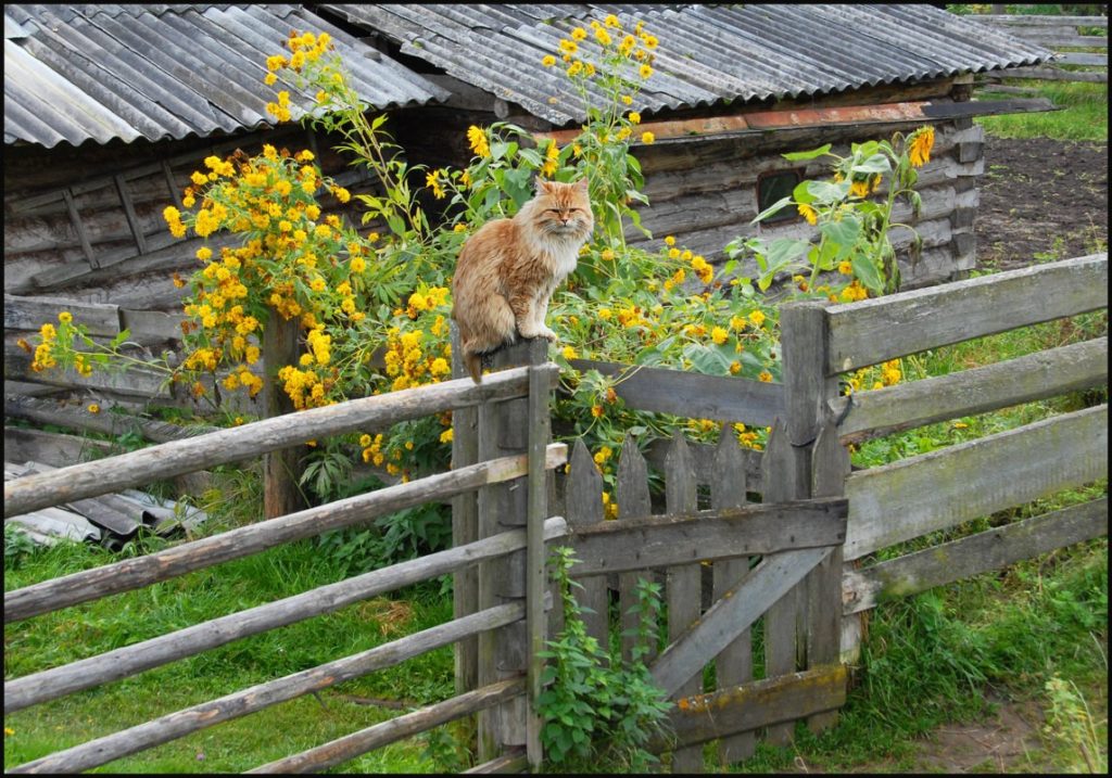 Всё красиво и чудесно, но нам здесь жуть!